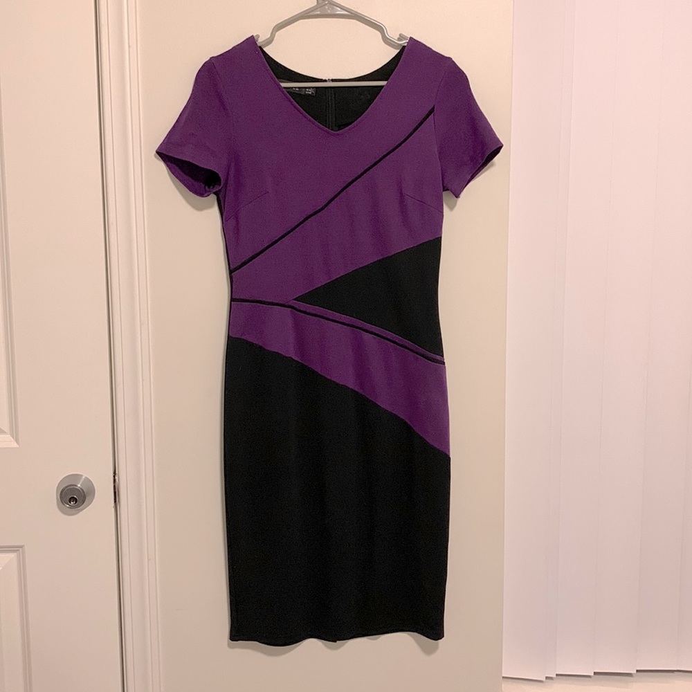 Shirtsleeve Homeyee Dress